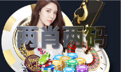 澳门五点来料网坐